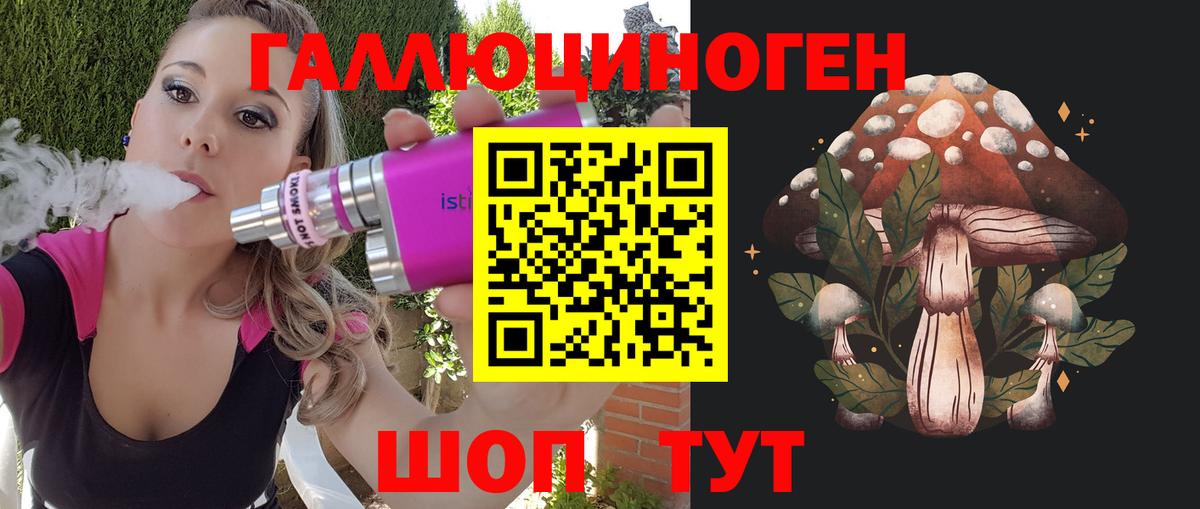 Галлюциногенные грибы Psilocybe Алатырь