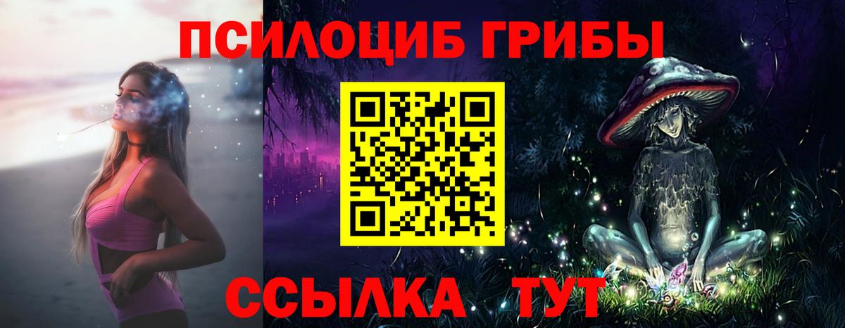Псилоцибиновые грибы мицелий  Вход с VPN  Алатырь 
